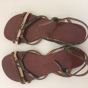 CHIE MIHARA Snake Strappy Flat Sandals EU 36.5 / US 6.5